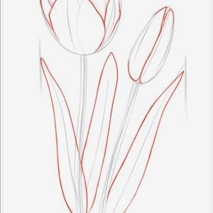 Meet your Posher, Amara